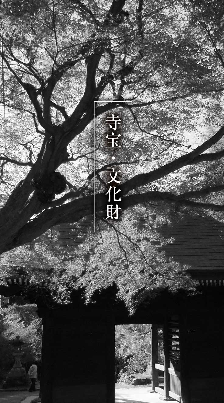 寺宝・文化財_モノクロ