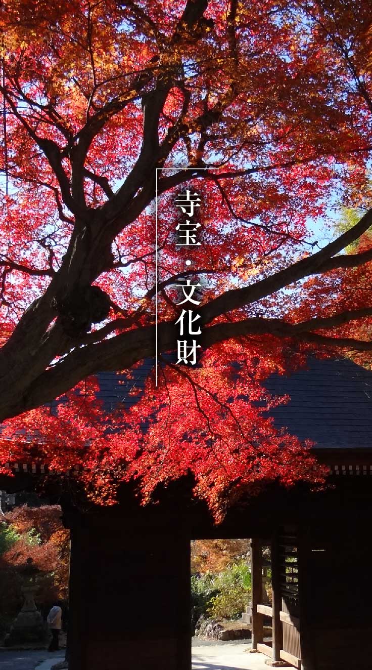 寺宝・文化財_カラー