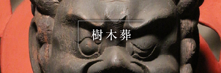 樹木葬_カラー