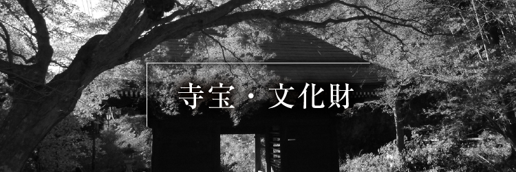 寺宝・文化財_モノクロ